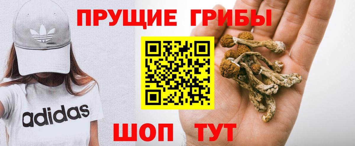 Галлюциногенные грибы ЛСД Пенза